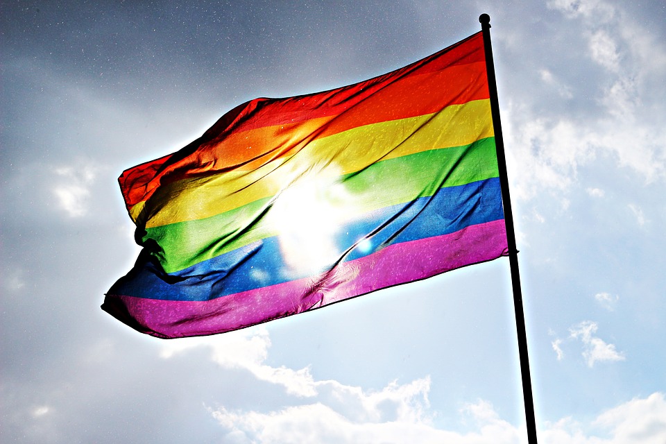 LGBTQ flag